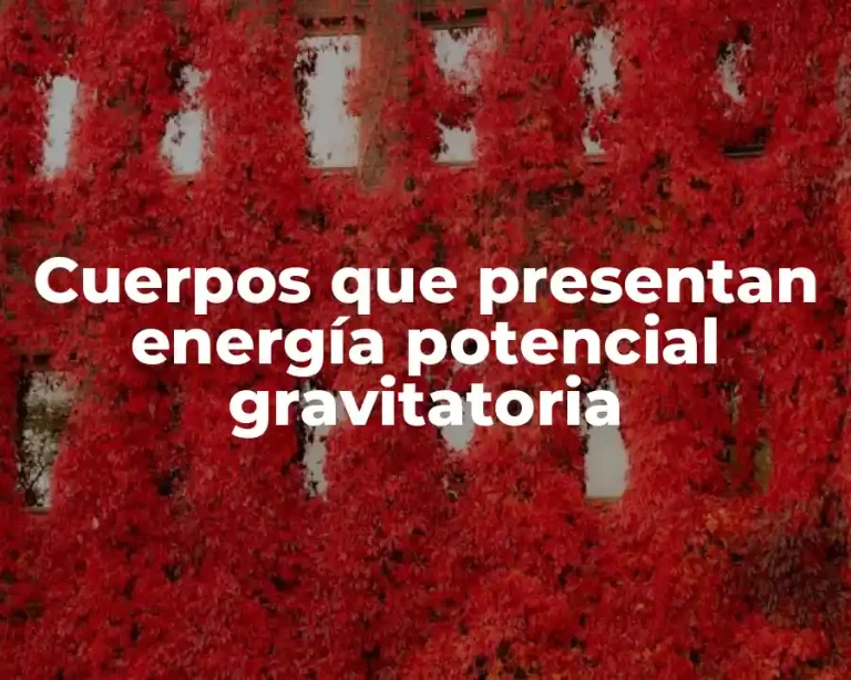 Cuerpos que presentan energía potencial gravitatoria