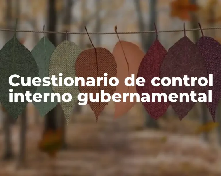 Cuestionario de control interno gubernamental