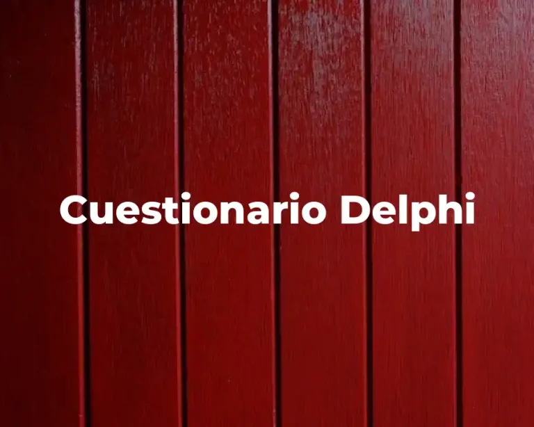 Cuestionario Delphi