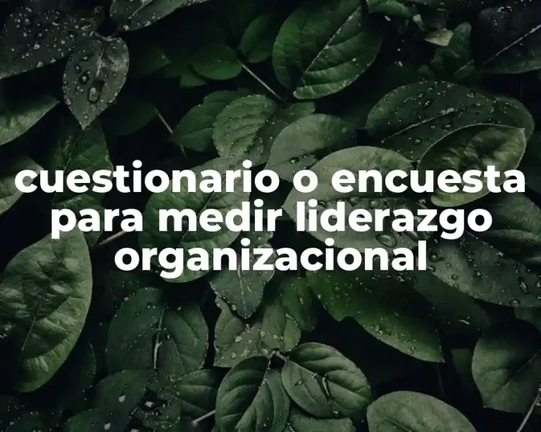 cuestionario o encuesta para medir liderazgo organizacional