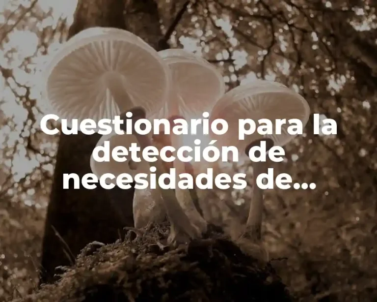 Cuestionario para la detección de necesidades de capacitación