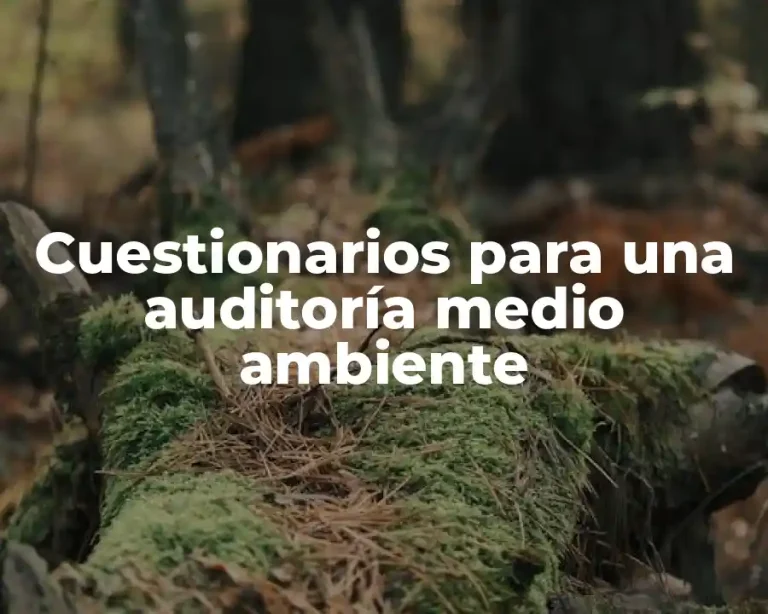 Cuestionarios para una auditoría medio ambiente
