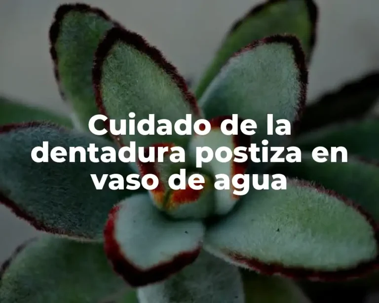 Cuidado de la dentadura postiza en vaso de agua