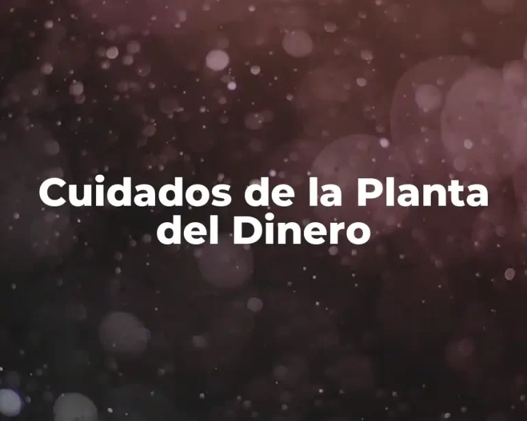 Cuidados de la Planta del Dinero