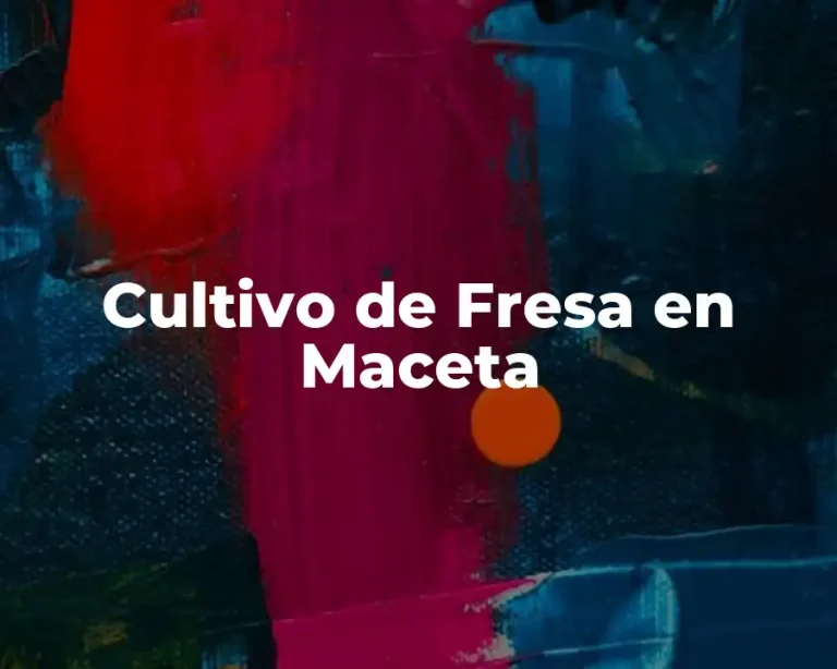 Cultivo de Fresa en Maceta