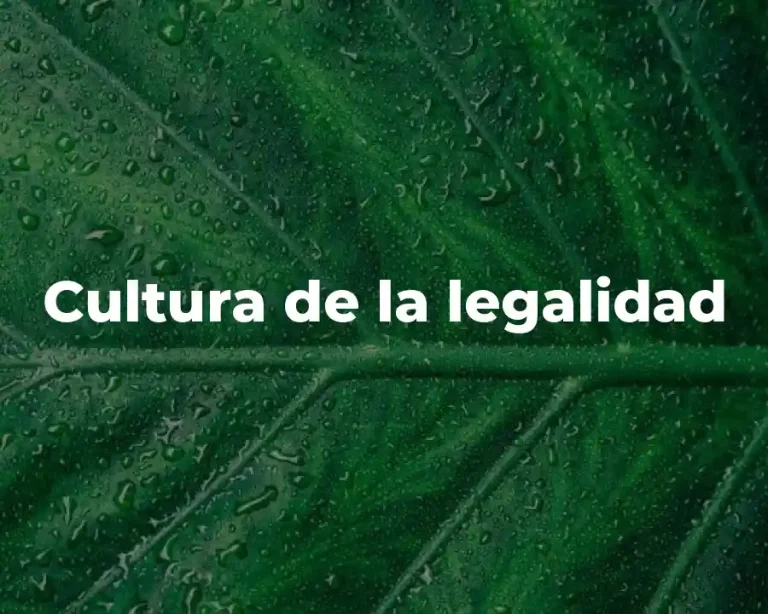 Cultura de la legalidad
