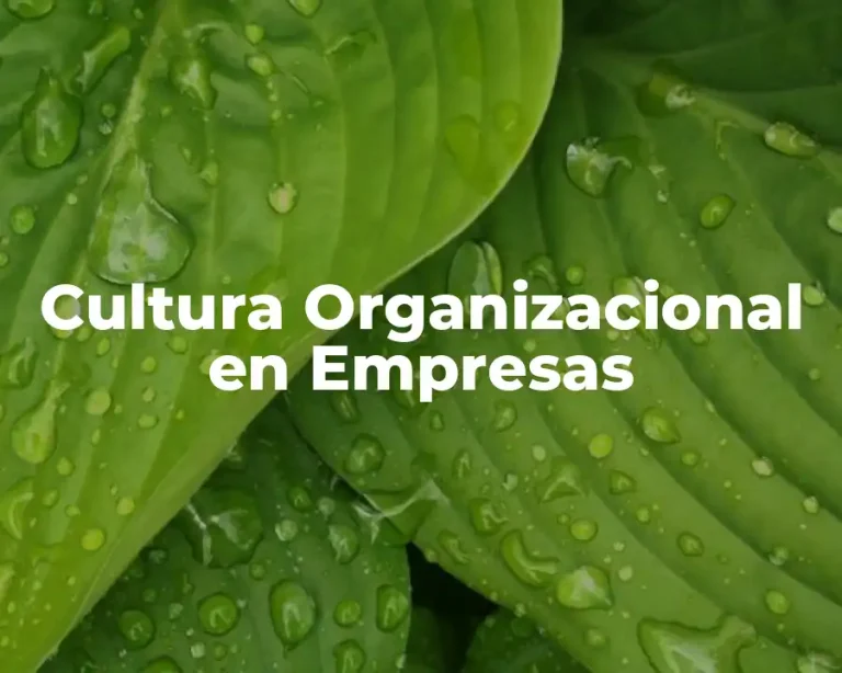 Cultura Organizacional en Empresas
