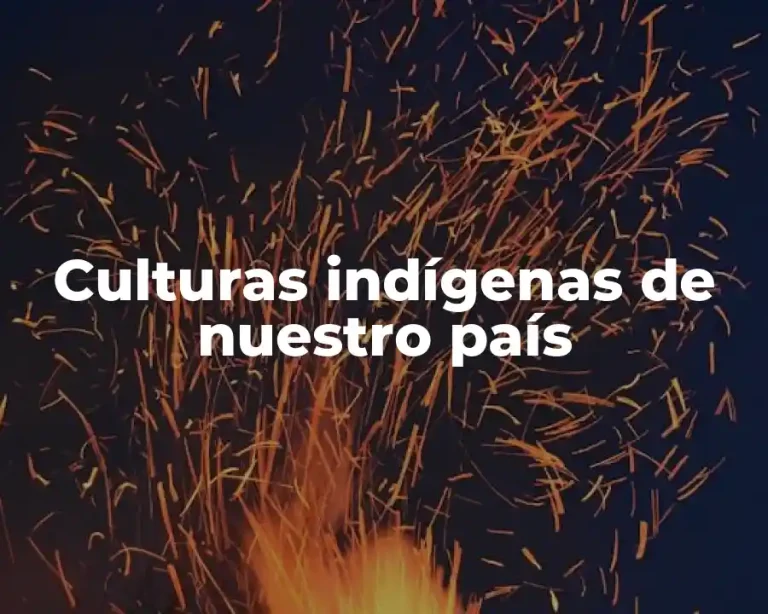 Culturas indígenas de nuestro país