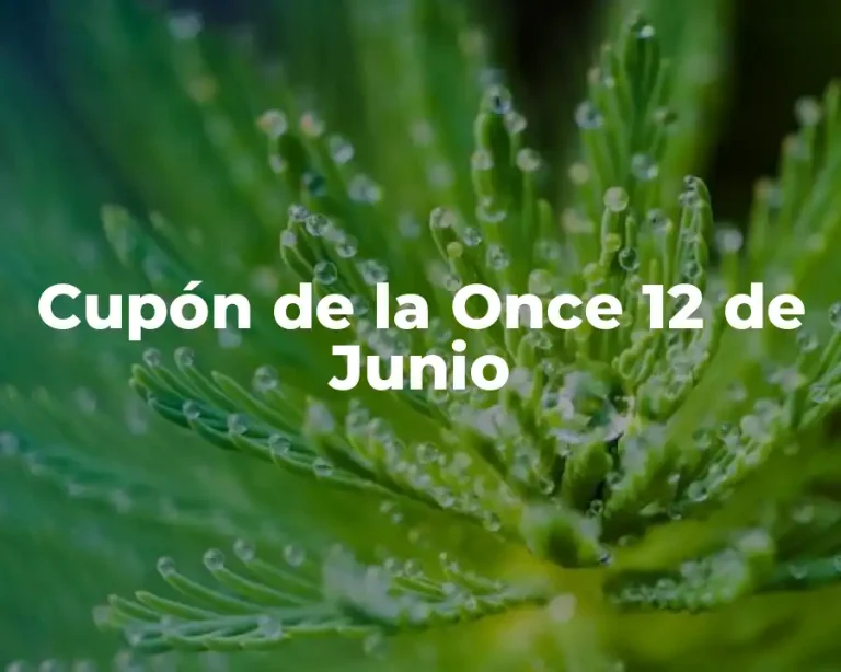 Cupón de la Once 12 de Junio