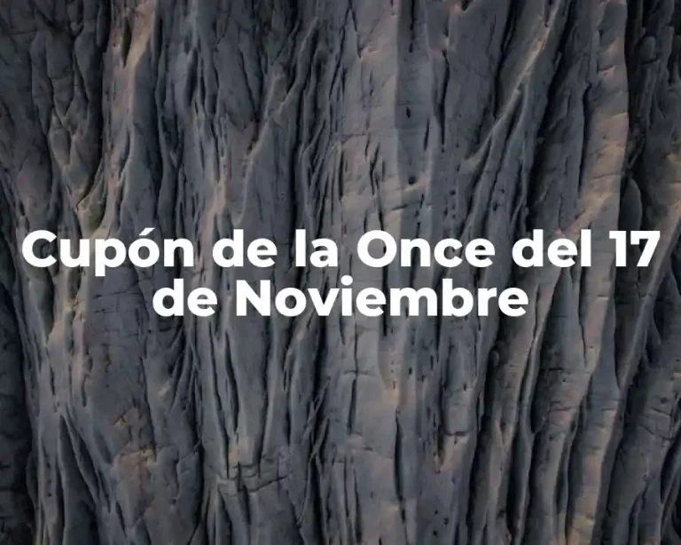 Cupón de la Once del 17 de Noviembre