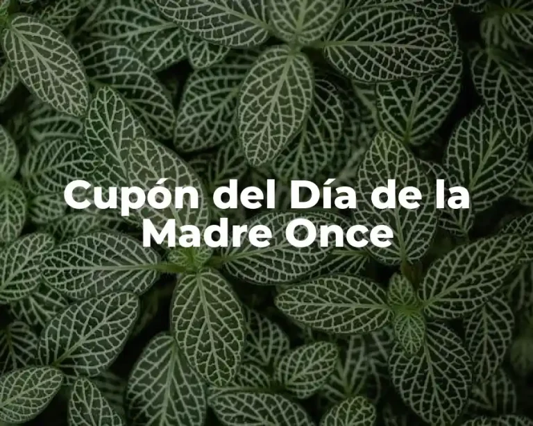 Cupón del Día de la Madre Once