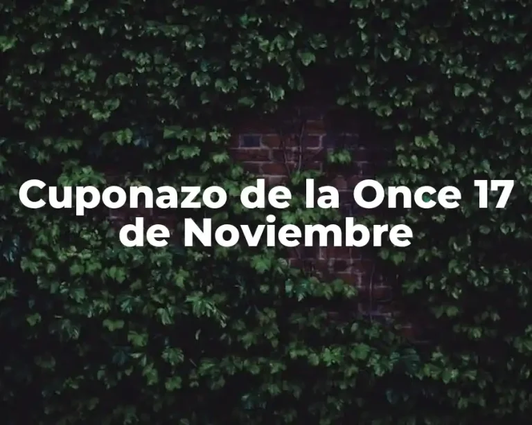 Cuponazo de la Once 17 de Noviembre