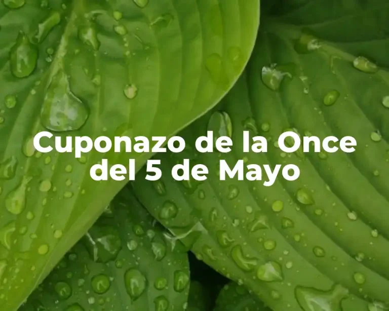 Cuponazo de la Once del 5 de Mayo