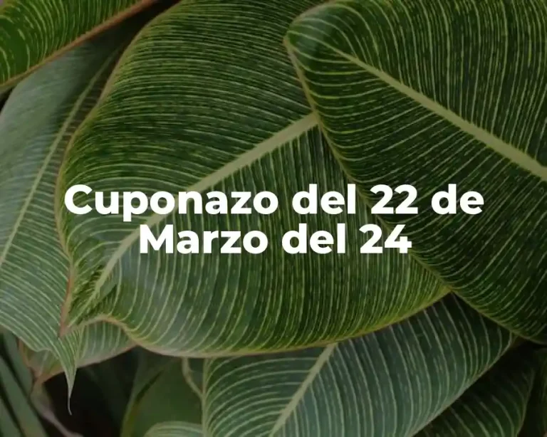 Cuponazo del 22 de Marzo del 24