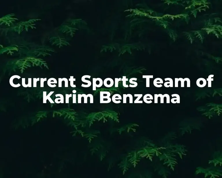 Current Sports Team of Karim Benzema