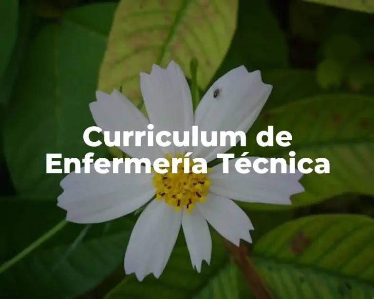Curriculum de Enfermería Técnica