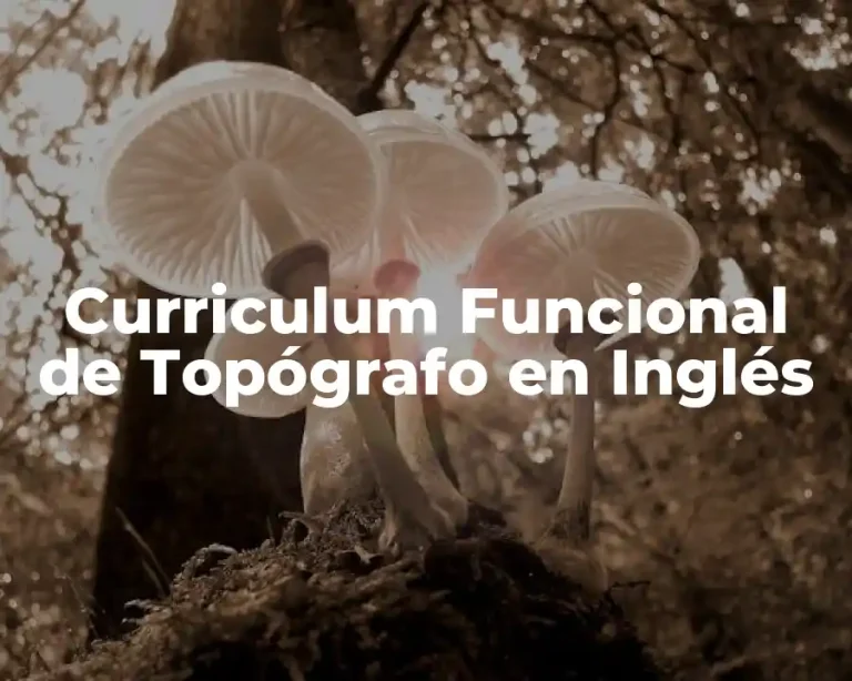 Curriculum Funcional de Topógrafo en Inglés