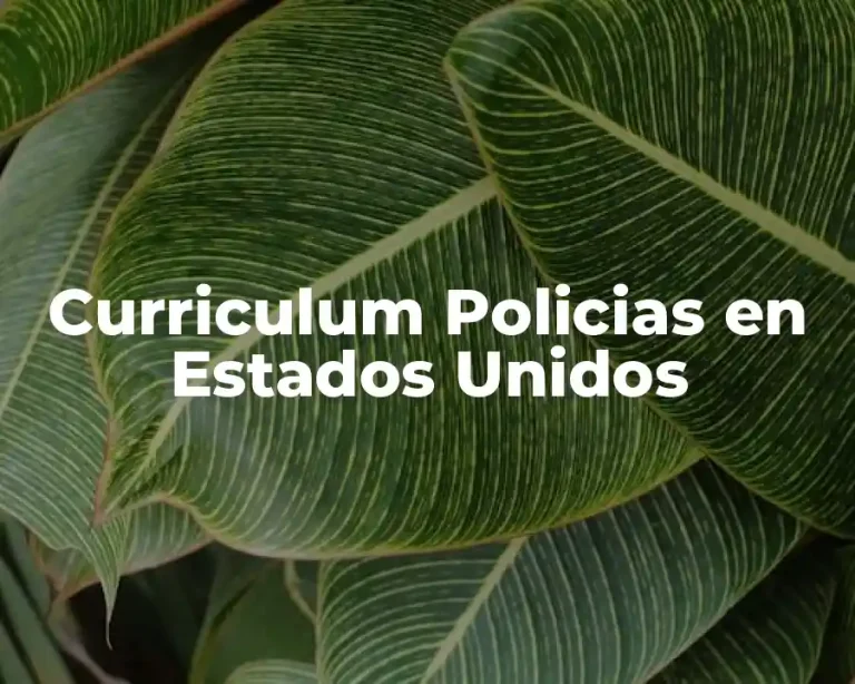 Curriculum Policias en Estados Unidos