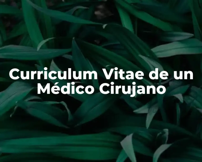 Curriculum Vitae de un Médico Cirujano