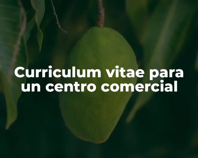 Curriculum vitae para un centro comercial