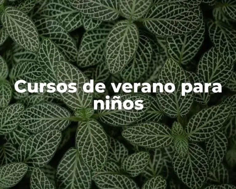 Cursos de verano para niños