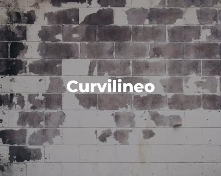 Curvilineo