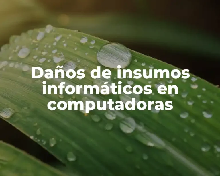 Daños de insumos informáticos en computadoras