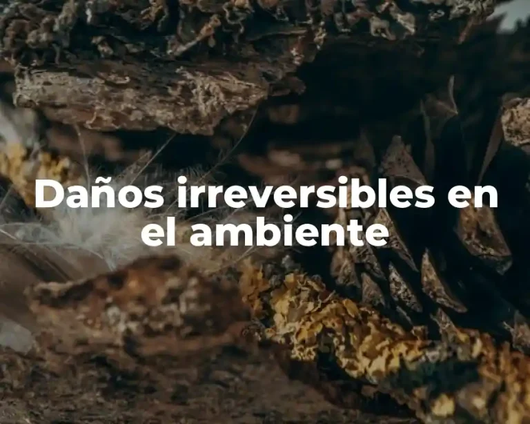 Daños irreversibles en el ambiente