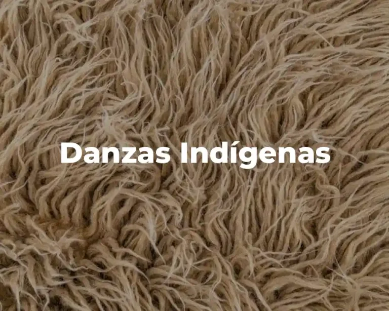 Danzas Indígenas