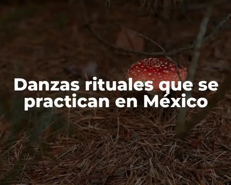 Danzas rituales que se practican en México