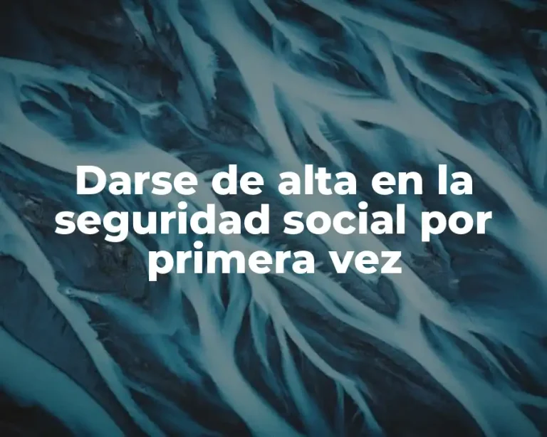 Darse de alta en la seguridad social por primera vez