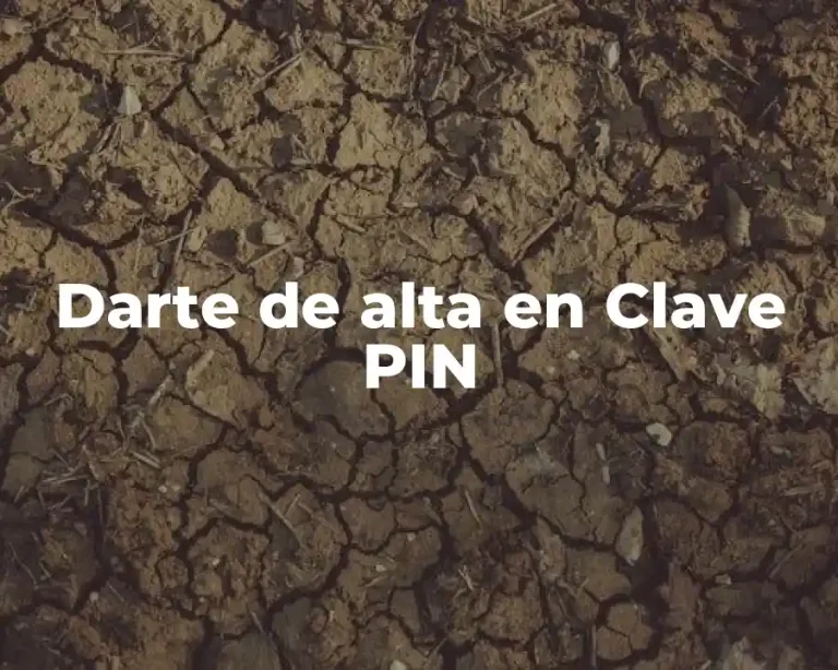Darte de alta en Clave PIN