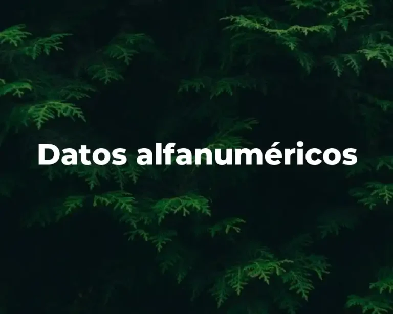 Datos alfanuméricos