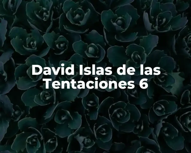 David Islas de las Tentaciones 6