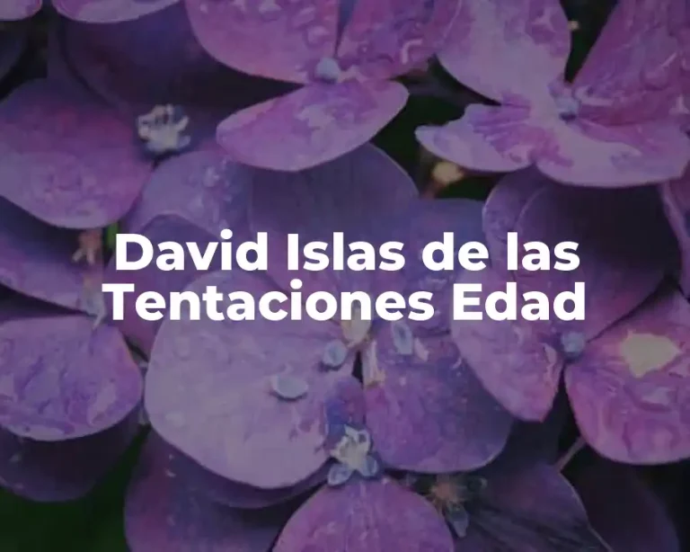 David Islas de las Tentaciones Edad