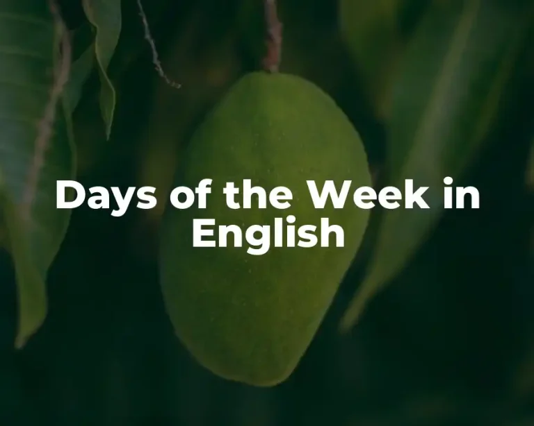 Days of the Week in English