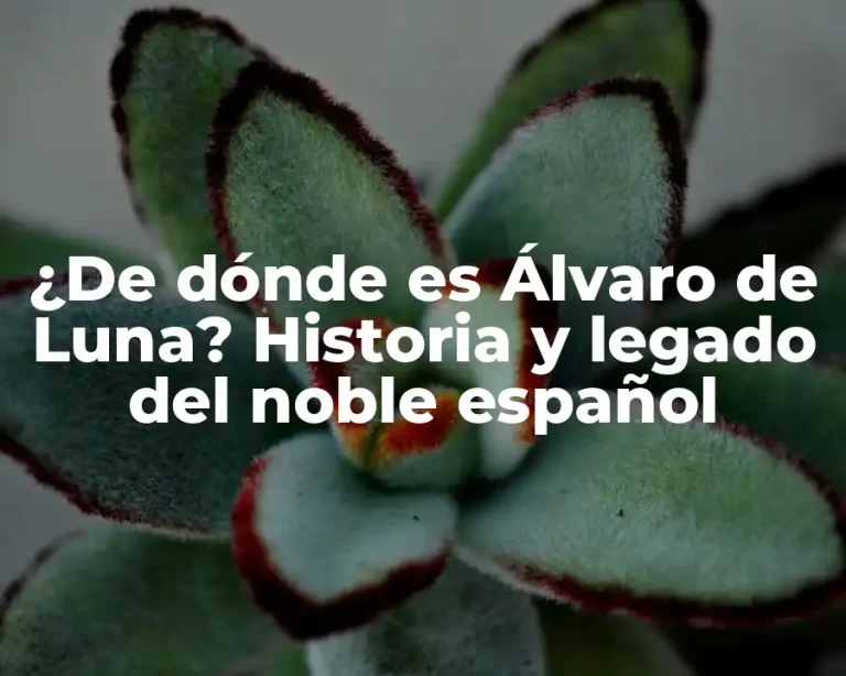 ¿De dónde es Álvaro de Luna? Historia y legado del noble español