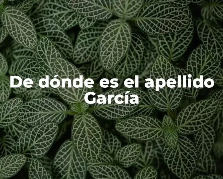 De dónde es el apellido García