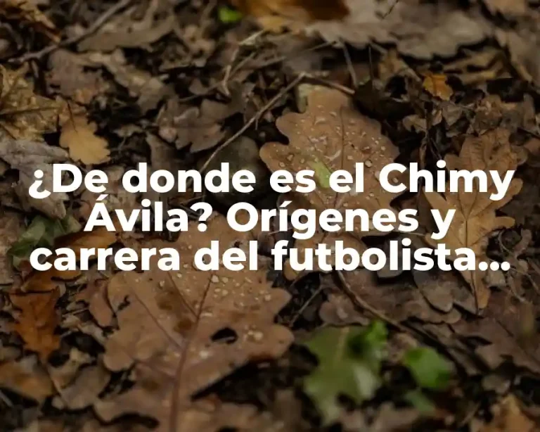 ¿De donde es el Chimy Ávila? Orígenes y carrera del futbolista argentino