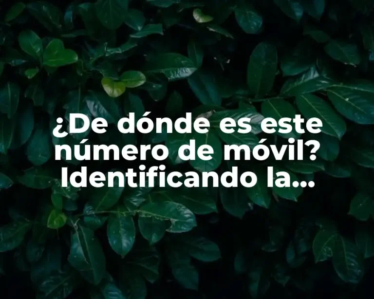 ¿De dónde es este número de móvil? Identificando la procedencia de un número de teléfono