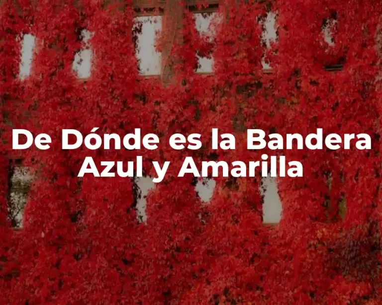 De Dónde es la Bandera Azul y Amarilla