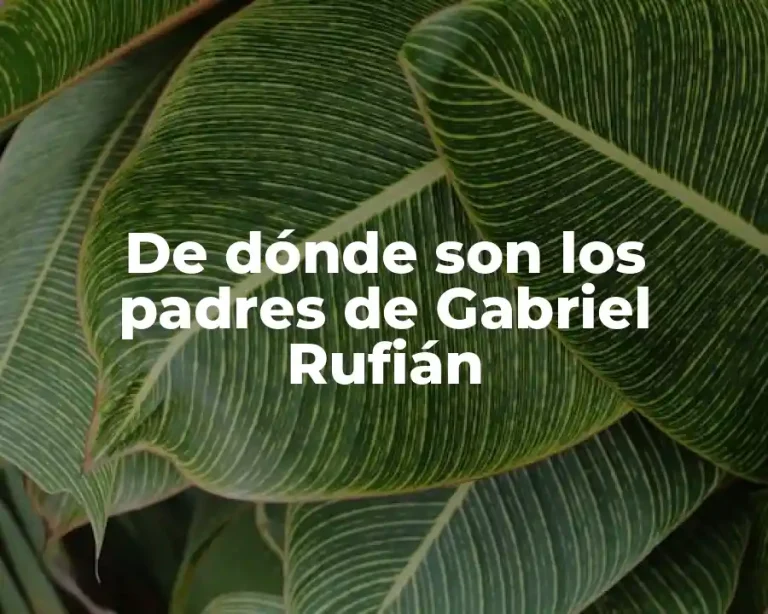 De dónde son los padres de Gabriel Rufián