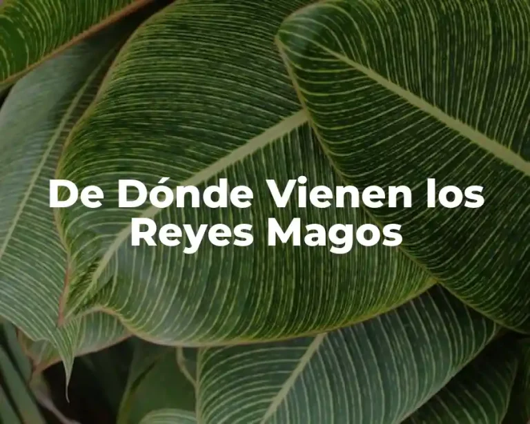 De Dónde Vienen los Reyes Magos