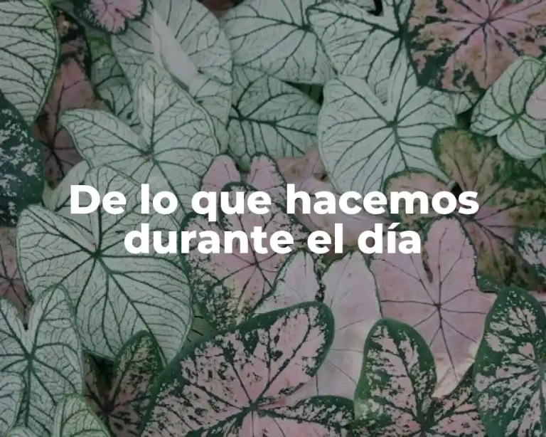 De lo que hacemos durante el día