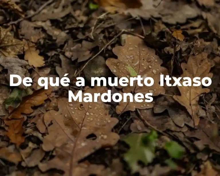 De qué a muerto Itxaso Mardones