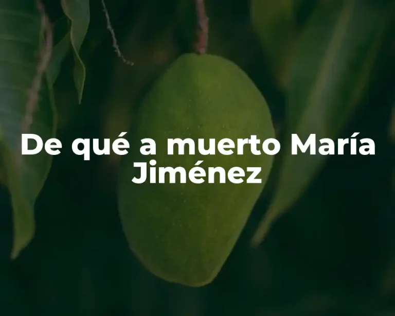 De qué a muerto María Jiménez