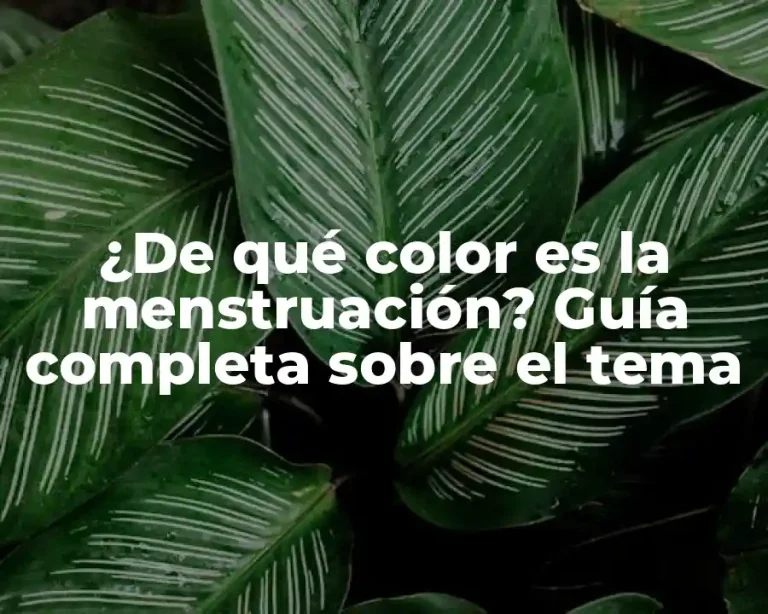 ¿De qué color es la menstruación? Guía completa sobre el tema