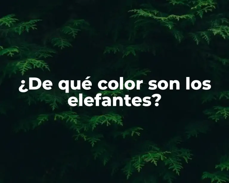 ¿De qué color son los elefantes?