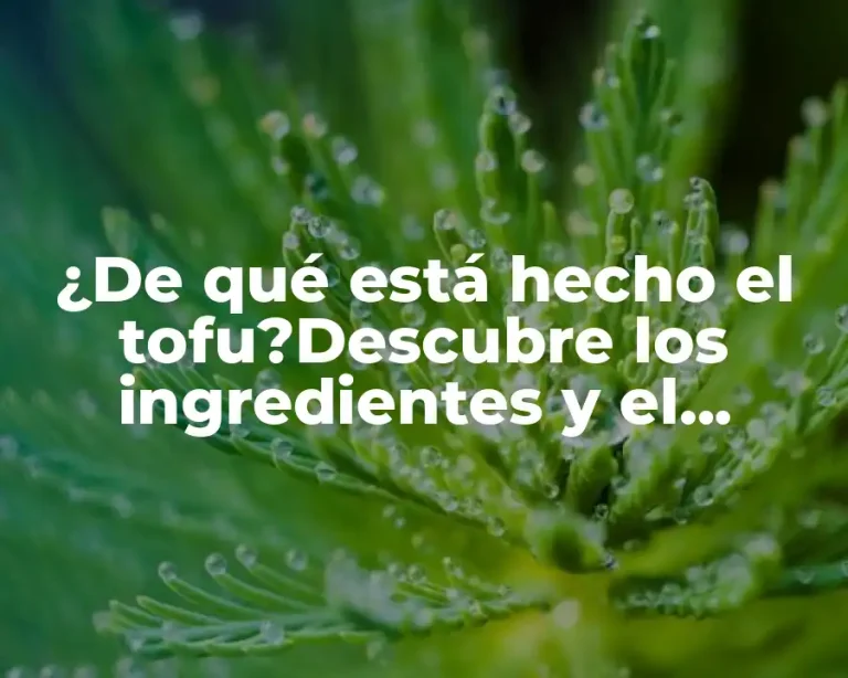 ¿De qué está hecho el tofu?Descubre los ingredientes y el proceso de elaboración