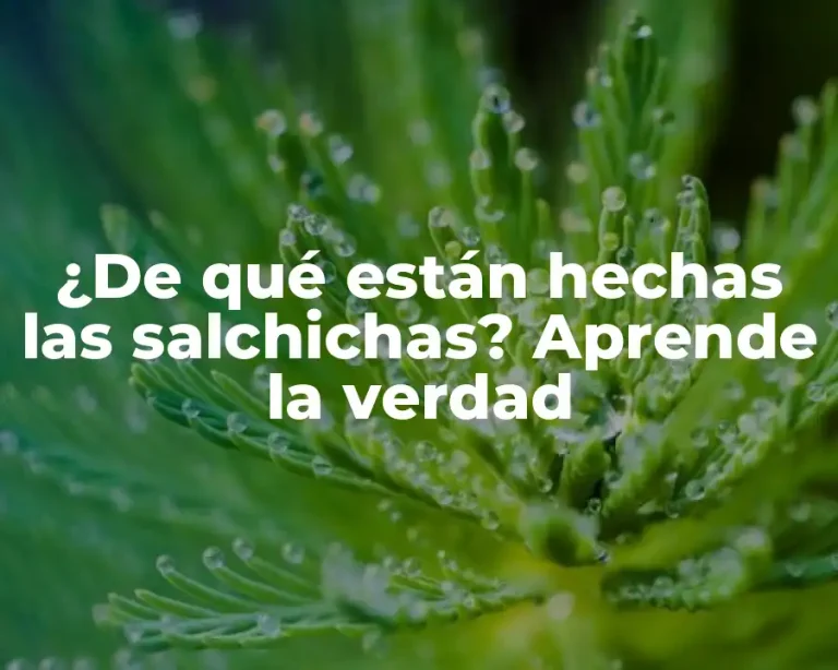 ¿De qué están hechas las salchichas? Aprende la verdad